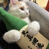 酔っぱらいたび