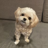 むぅす