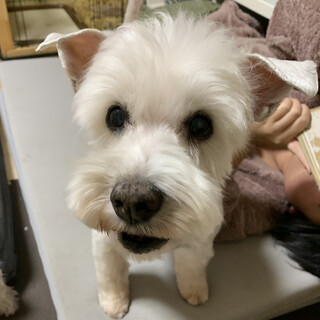 温厚で穏やかな男の子♪