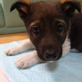 一旦募集終了します