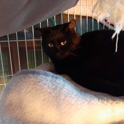 「保護開始から7日経過(※写真撮ってみた)」サムネイル3