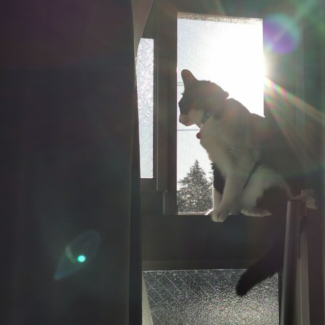 なつきおのカバー写真