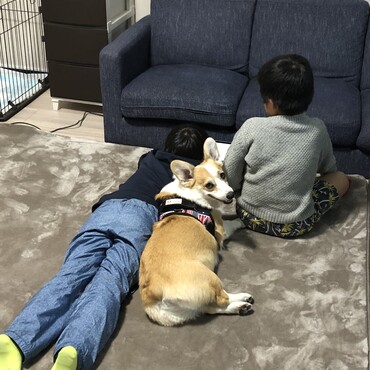 ぜったいに、真ん中