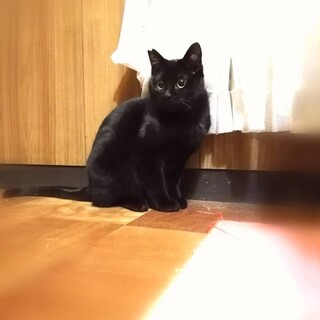 体は大人でもいつまでも子どもの三男くん