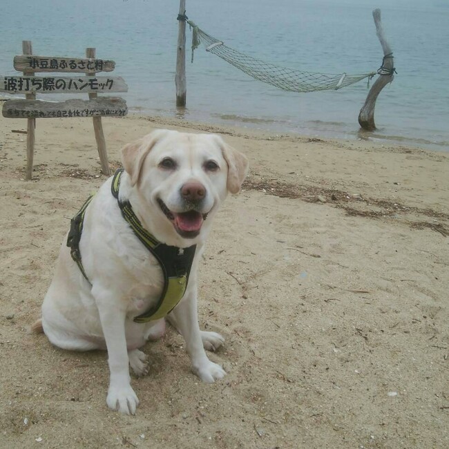やすもこのんのカバー写真