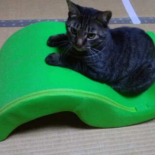 ごはんより遊びに夢中