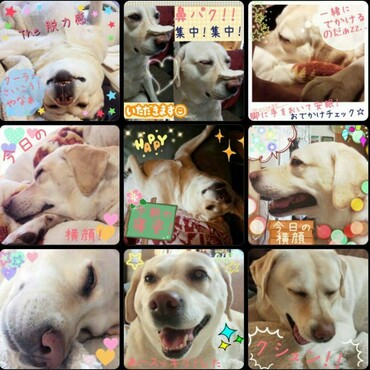 のんちゃん想い出2