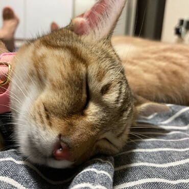 の写真