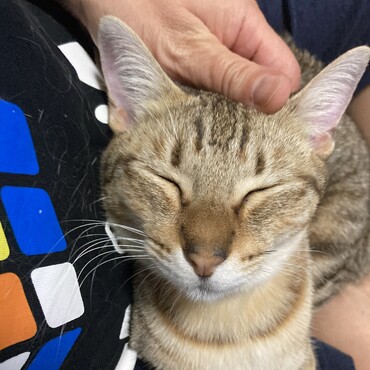 の写真