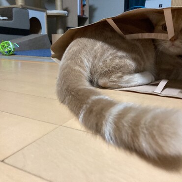 の写真
