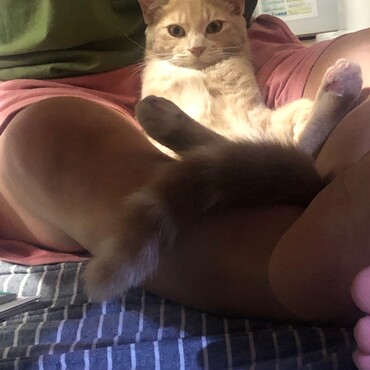 の写真