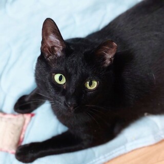 【ウニクロ】おかげさまで里親様が決まりました！