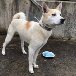 ありがとうございました！