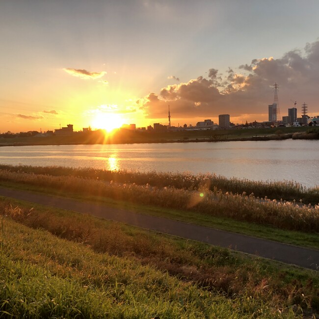 LiberyTreeのカバー写真