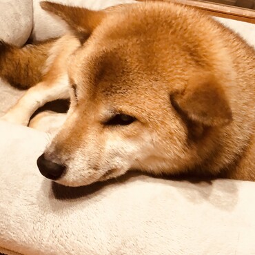 の写真