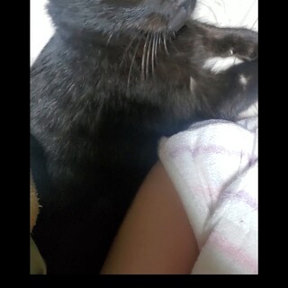 元気いっぱい！！