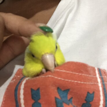 の写真