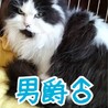 仮名　男爵♂ サムネイル3