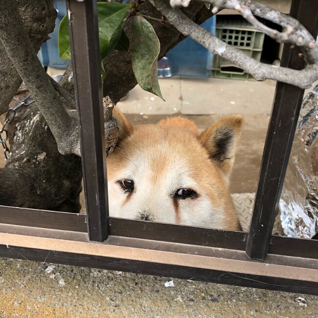 モキートのカバー写真