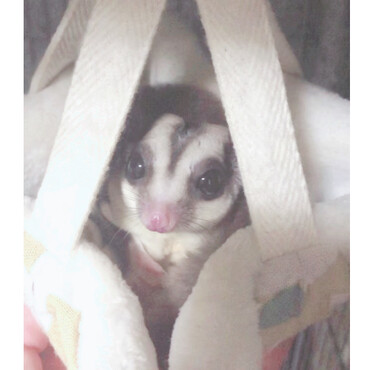 の写真