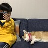 ねんね