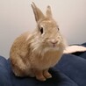 さちちゃん【佐渡っこ】 サムネイル3