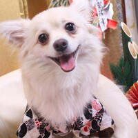 おこげ