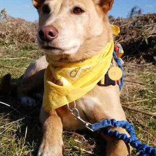 不器用だけど、素直で優しい元気な男の子健さん