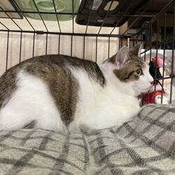 兄たんたちが来た！