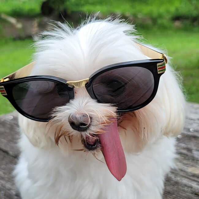 patikamigaのカバー写真