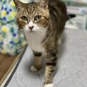 【急募】超甘えん坊癒し系男子!!