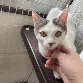 素敵なご家族と出会えました♡大福ちゃん