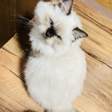 の写真