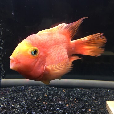 ニヤニヤ