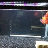 新しい新居での生活