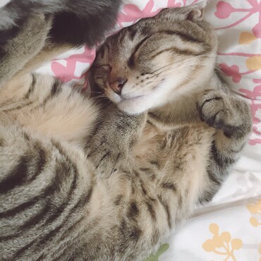 の写真