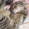 の写真