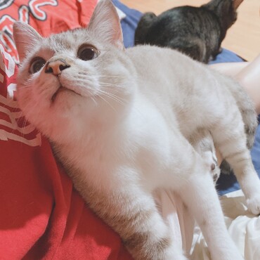 甘えてる時の顔