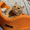 の写真