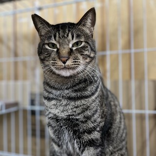 イケメンな甘えん坊