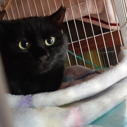 「保護開始から9日経過」サムネイル2