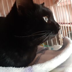 「保護開始から9日経過」サムネイル3