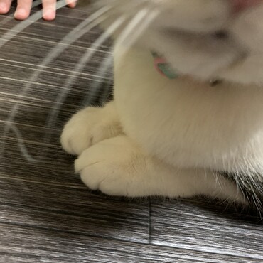 の写真