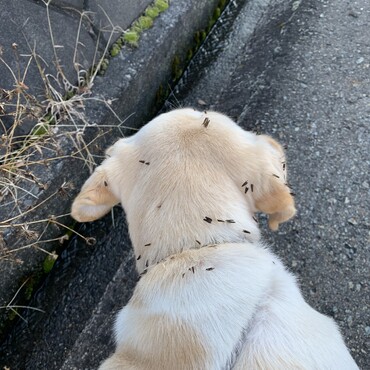 の写真