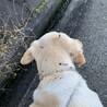 の写真