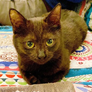 テディベアみたい！もふもふ王子３ヶ月