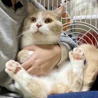 [お見合い歓迎]つばさ君