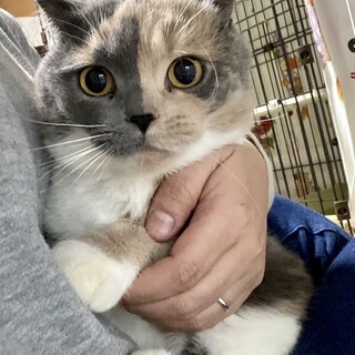 なみちゃん