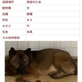 センターに収容され8日の朝までが期限です