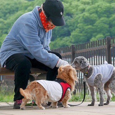 うちに初めて来た頃のはるちゃんです。まだガリガリで足も痛そう。